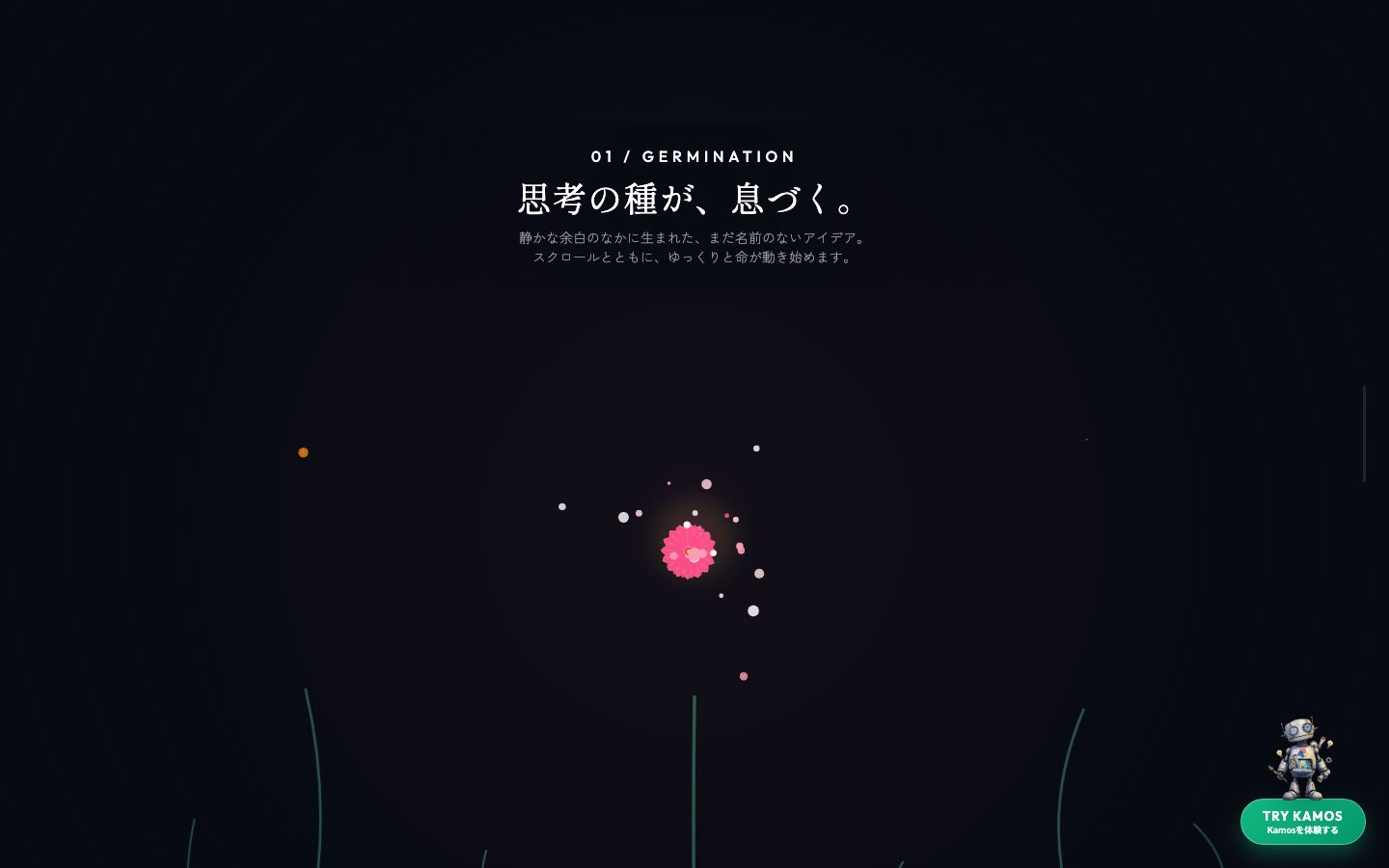 Blooming Splash // An Interactive Journey of Blooming & Scattering