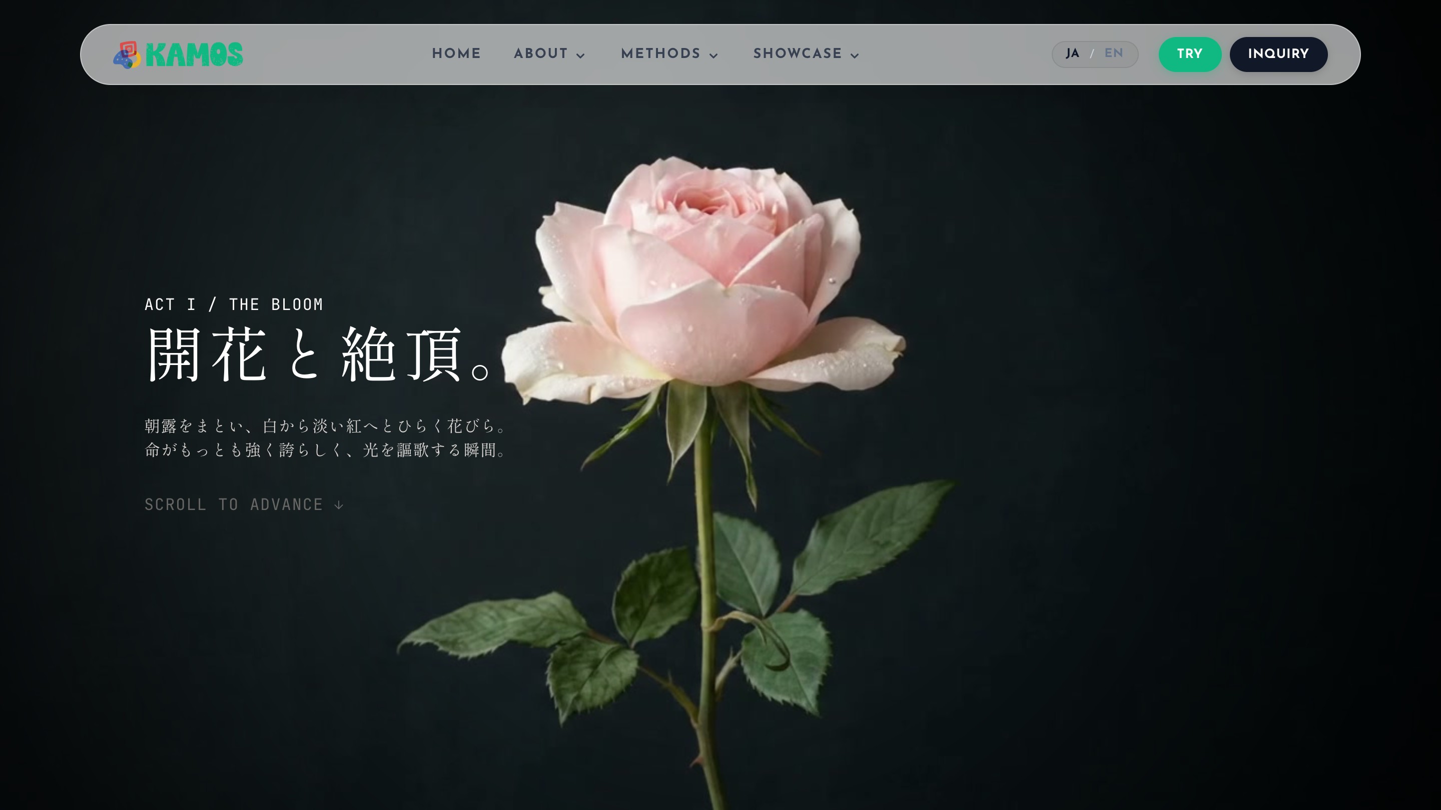 Regenerative Aesthetics // Life, Decay & Renewal